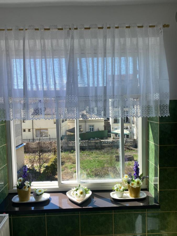 דירות Pucioasa Apartament Ultracentral David מראה חיצוני תמונה