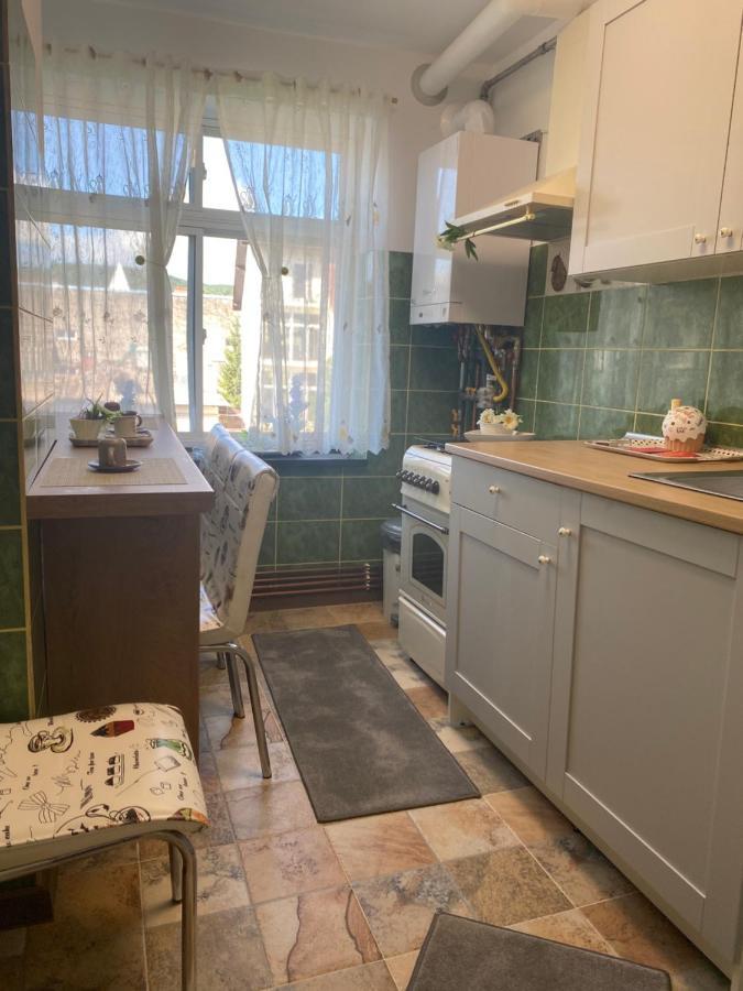 דירות Pucioasa Apartament Ultracentral David מראה חיצוני תמונה